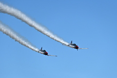 Warbird Thunder #1 11  11-2-25