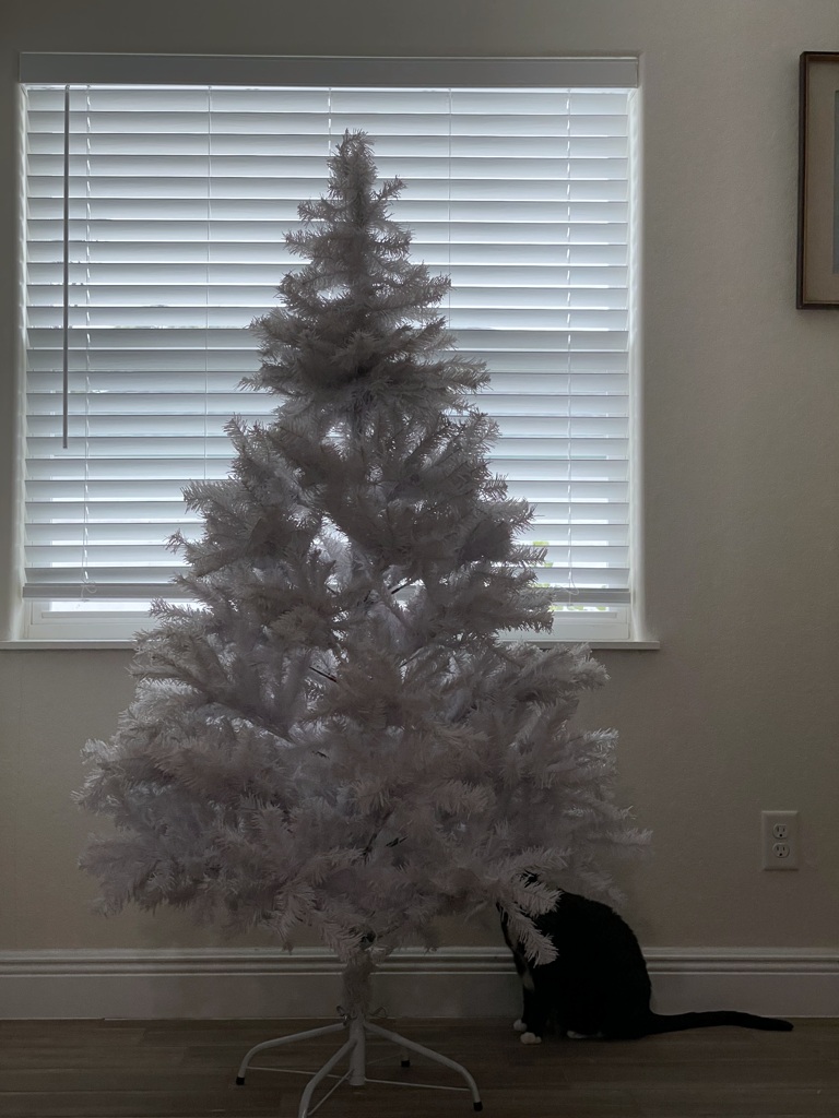ツリー出したらさっそく猫　12-9-25
