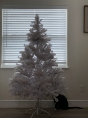 ツリー出したらさっそく猫　12-9-25