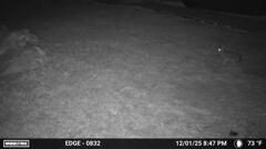 じっと動かない　12-1-25