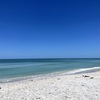 The Gulf 4-18-25