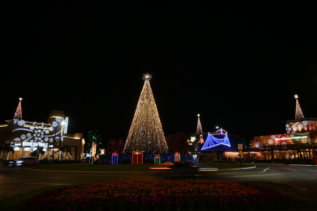 UTC Christmas Tree 2025