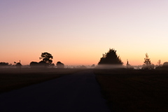 あさもや　1-1-26