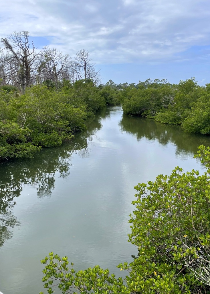 Oyster Creek 12-2-25