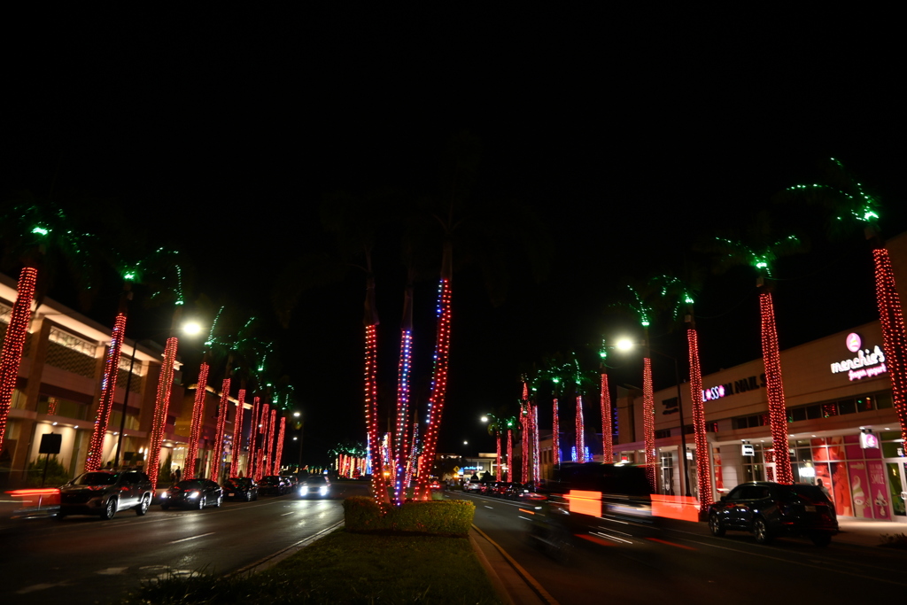 Light Show Started 11-28-24