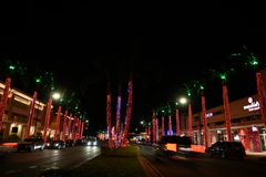 Light Show Started 11-28-24