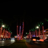Light Show Started 11-28-24
