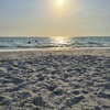 Sunset Swim 4-23-25