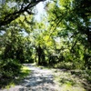 Kiwanis Park  7-9-25