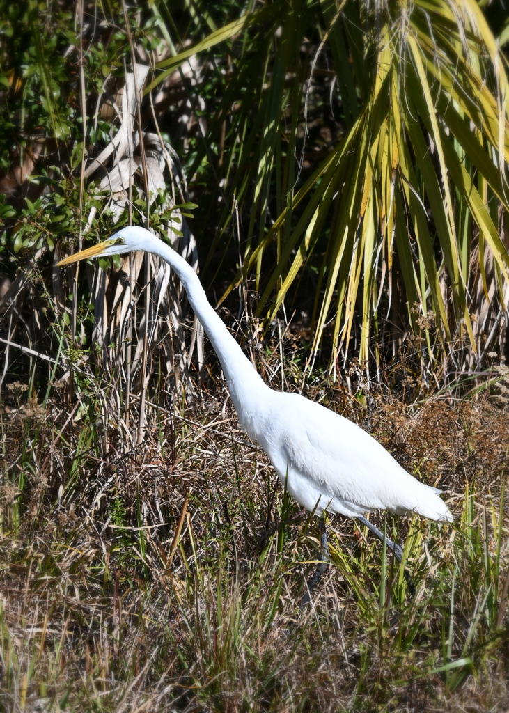 頸をゆらゆら　1-20-26