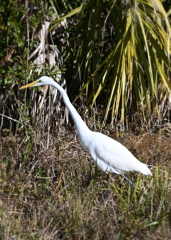 頸をゆらゆら　1-20-26