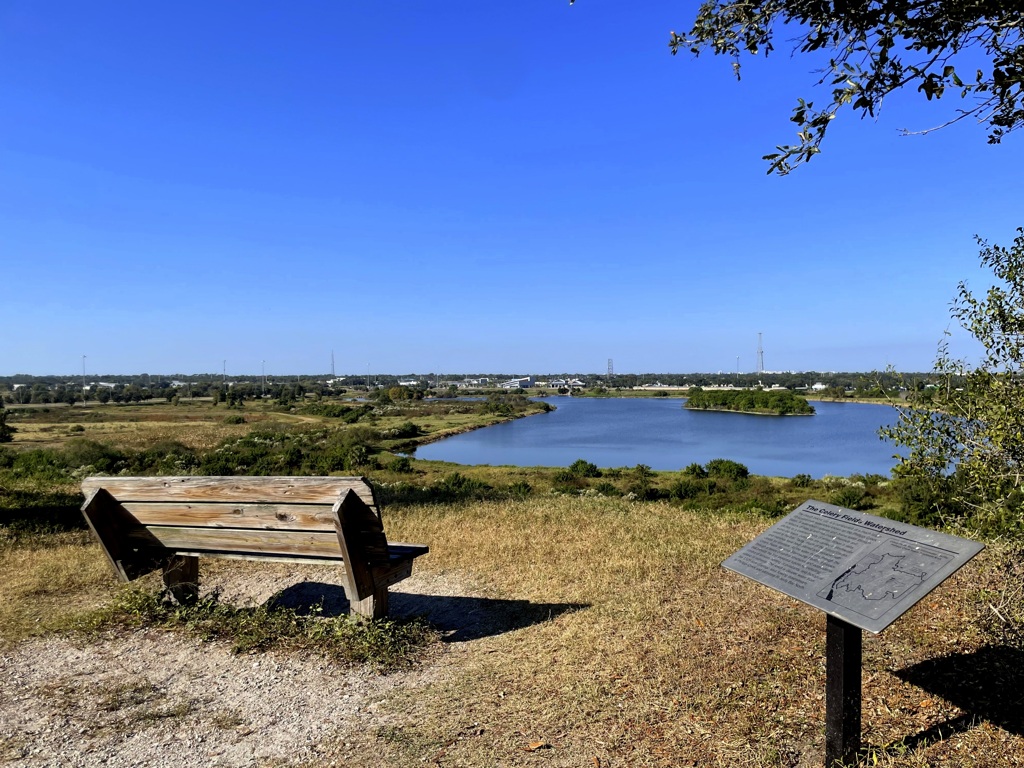 The Celery Field 11-18-25