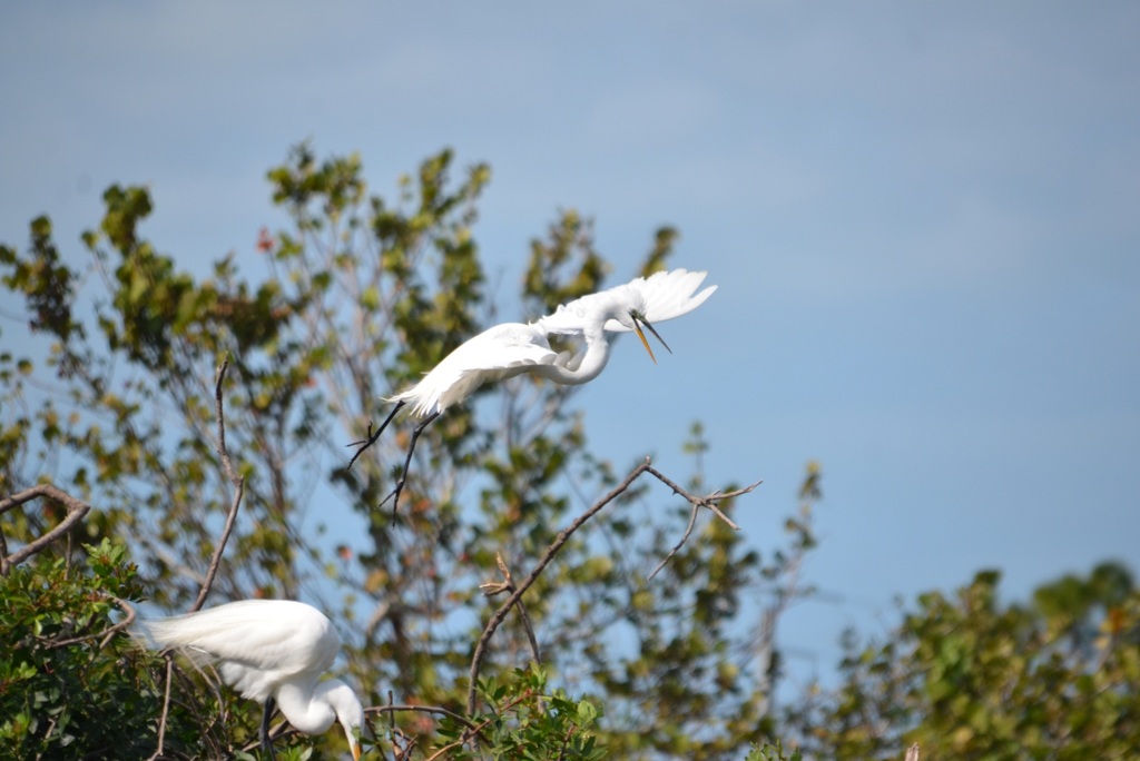 Landing 1-24-23