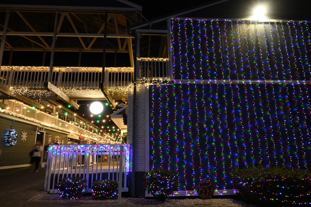 A Lots of Colors 12-6-25