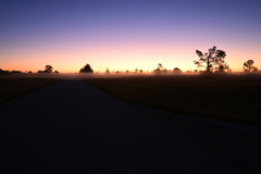 The Mist is Rolling 1-1-26