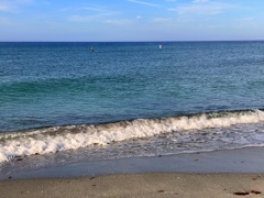 Billyのお墓参り　11-26-25