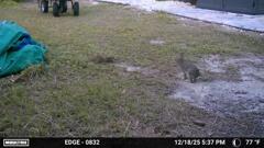 定位置　12-18-25