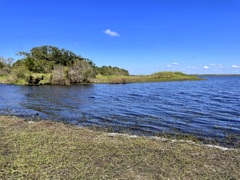 向こうにベニヘラサギ　　10-15-25