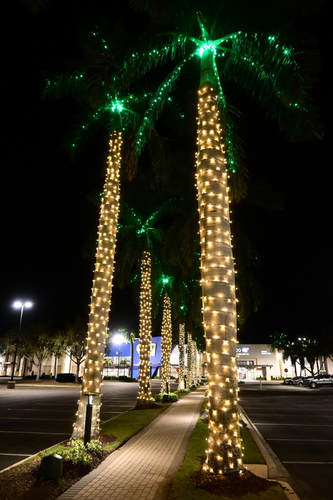 Empty Parking Lot 11-27-25