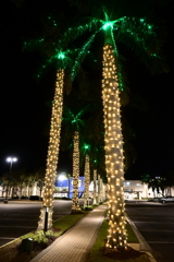 Empty Parking Lot 11-27-25