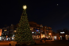 Punta Gorda Christmas Tree with the Moon