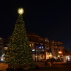 Punta Gorda Christmas Tree with the Moon