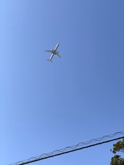 また飛行機　2024-4-14
