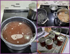 Beautyberry Jelly Making 9-7-24