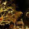 Santa and the Snow 12-19-24