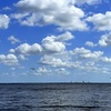 Pelicans 4-20-23