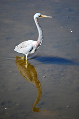 Changing the Spot 11-18-25