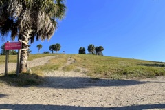 Mount Celery (^^;)　11-18-25