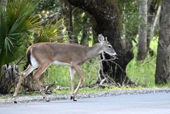 Be Careful  10-15-25