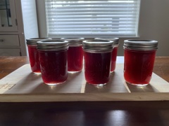Beautyberry Jelly 9-8-24