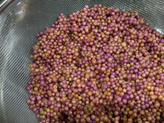 1洗います　11-25-25