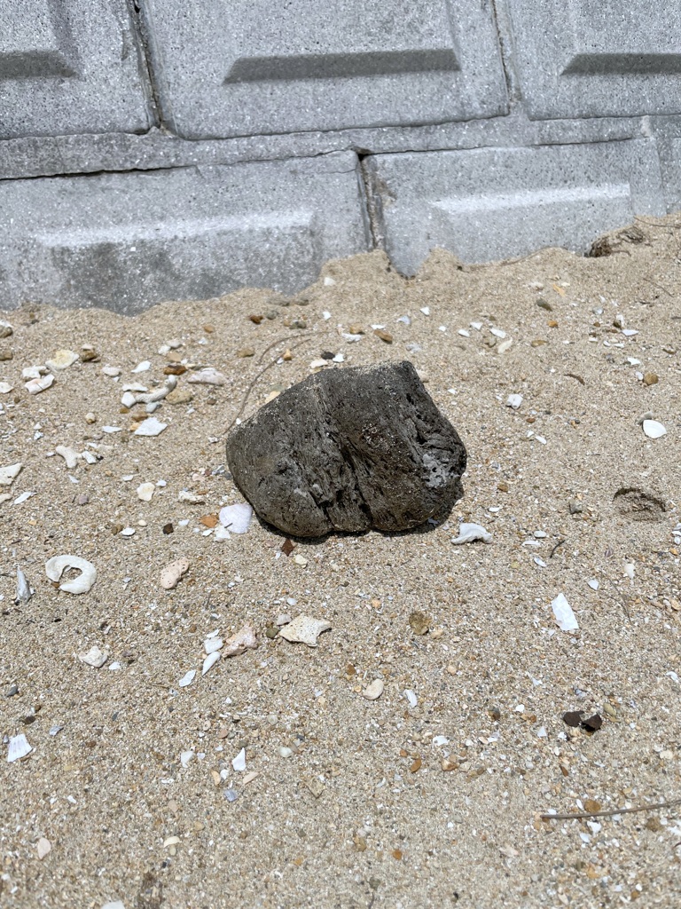 軽石問題　2024-4-20