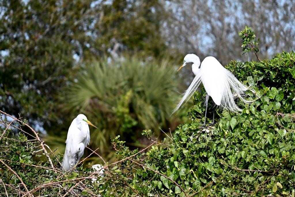 見つめ合う　1-30-26