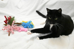 手が何か言いたげ　12-30-25