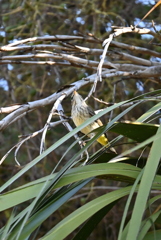 見上げる　11-18-25