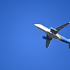 Flying II 3-19-25