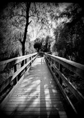 The Lights and the Shadows 7-9-25