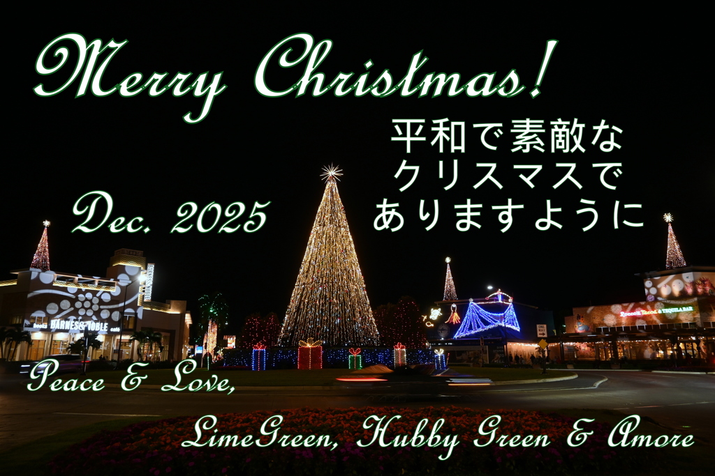 Christmas Card 2025_Blog_Instagram_1