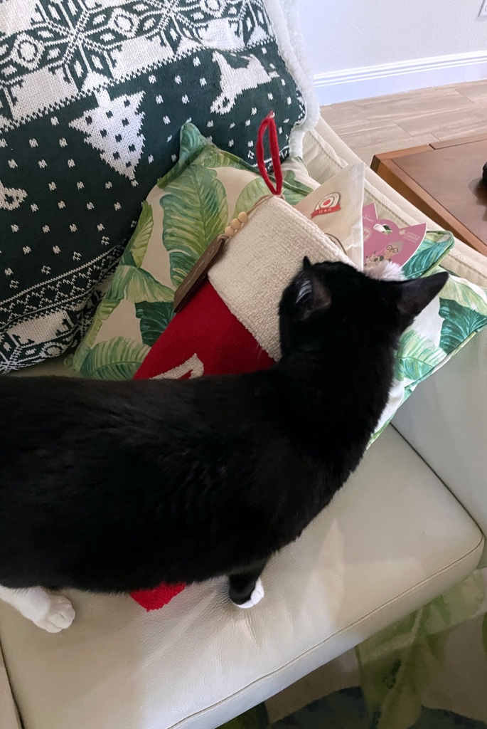 Christmas Stocking 12-25-25