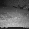 Rabbit 9-29-25