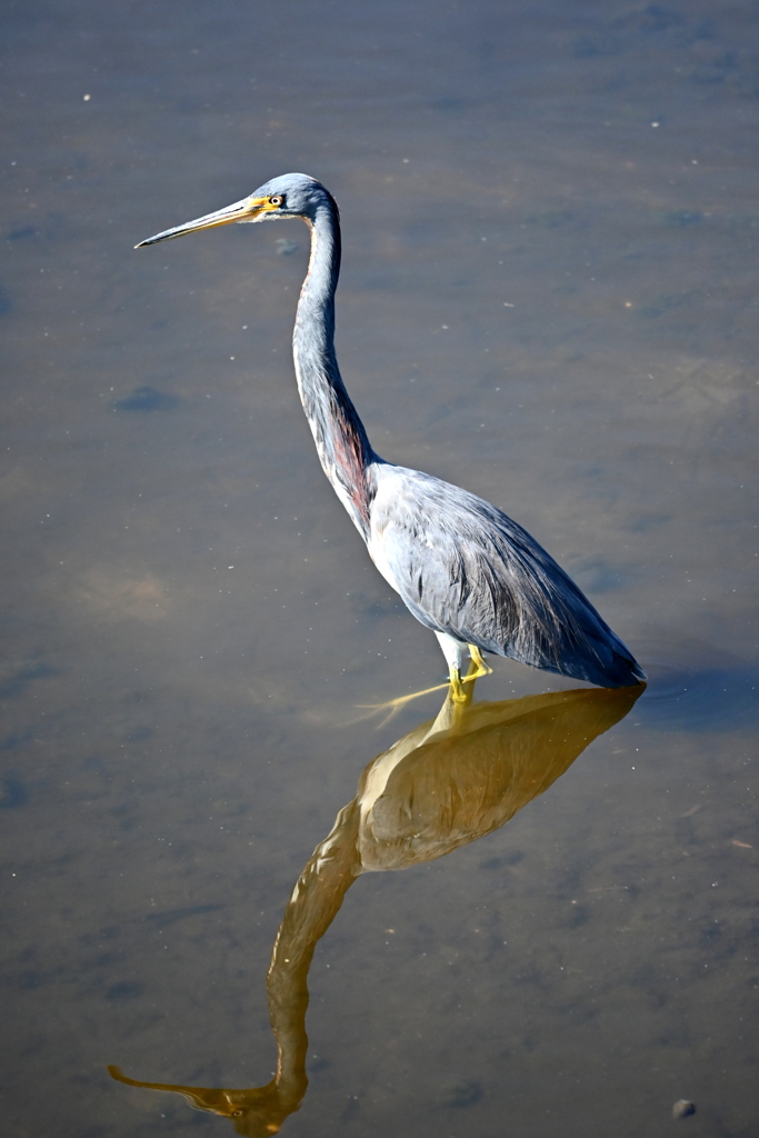 Wants Something 11-18-25