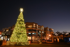 Twinkle Twinkle 12-12-24