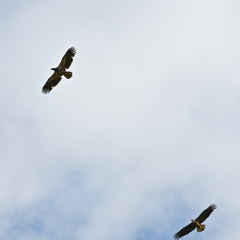 さっきの子が追っかけられてました　2-26-26