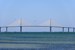 The Birds and the Bridge 3-26-25