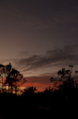 Sunset II 11-11-22