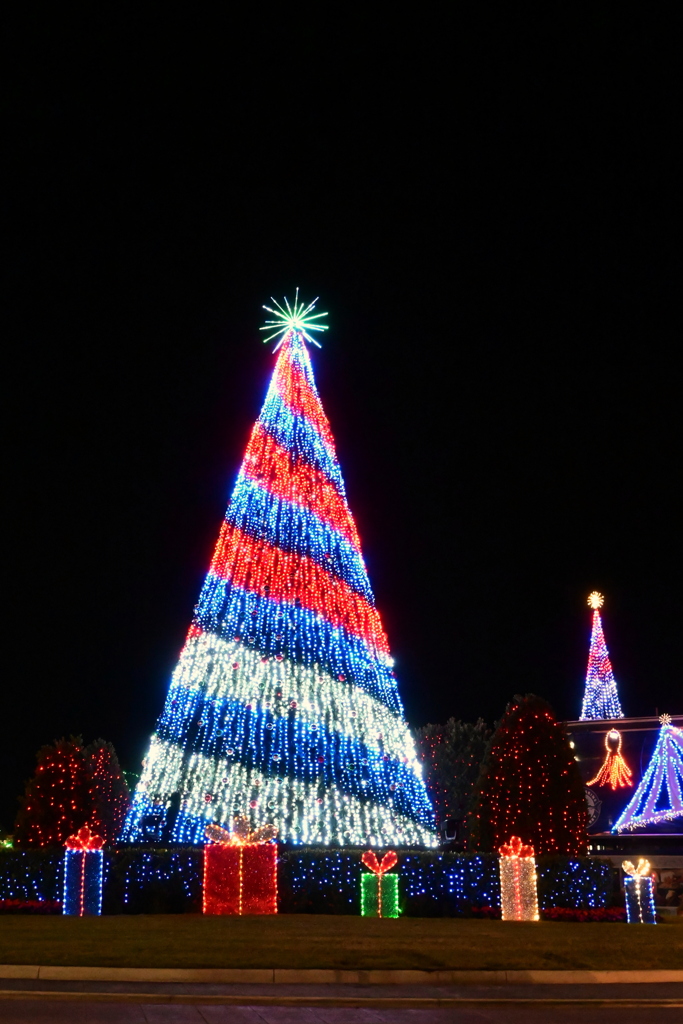 The Light Show 11-27-25